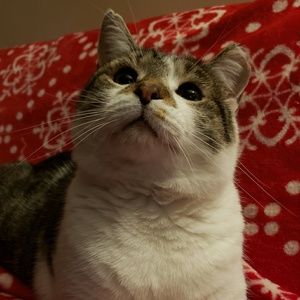 Meet your Posher, Janet